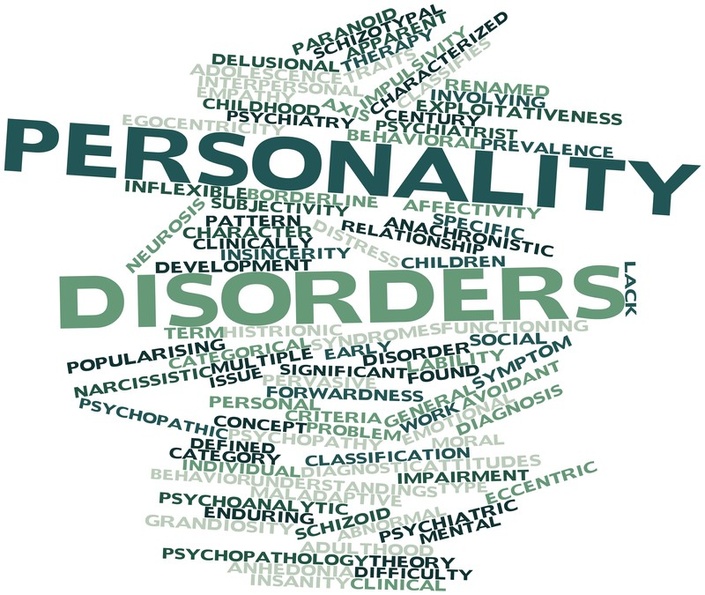 PERSONALITY DISORDER SKILLS TRAINING FULL DAY ONLINE SEMINAR SWEET