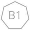 B1