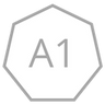 A1